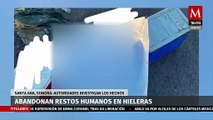 Abandonan restos humanos en hieleras en Sonora