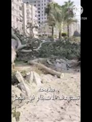 مذبحة قطع الاشجار في مصر