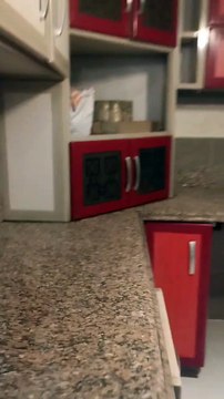 كود 676 شقه للإيجار قانون جديد بموقع متميز من شارع محي الدين أبو العز الرئيسي بالدقي