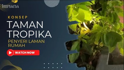 Konsep TAMAN TROPIKA Penyeri Laman Rumah