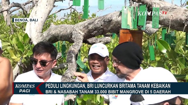 Luncurkan Program BritAma Tanam Kebaikan, BRI Gandeng BenikBaik Tanam 33.000 Pohon Mangrove