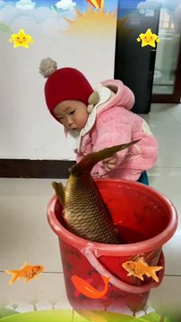 Fishes And Baby Funny Moments | Fishes In The Water | Animals Funny Reactions | Animals Funny Moment