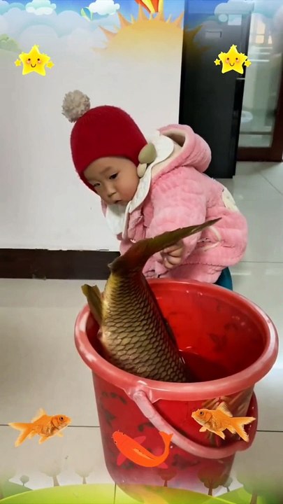 Fishes And Baby Funny Moments | Fishes In The Water | Animals Funny Reactions | Animals Funny Moment