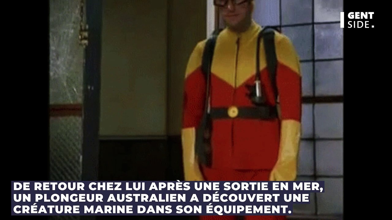 Voici ce qu’il a retrouvé dans son matériel de plongée après une sortie en mer