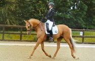 Dressage rider Amy Lloyd representing Wales at the Inter-Regionals and Home Nations 2023