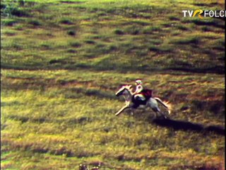 Dan Moisescu - Tezaur folcloric - TVR - 1991