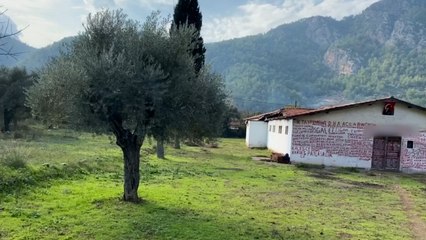 33 yıllık derdini duvarlara yazdı