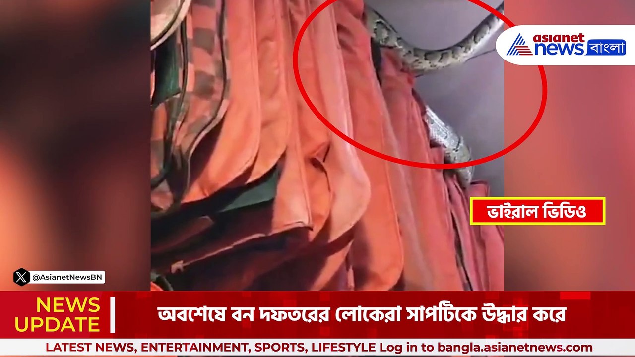 দোকানের মধ্যে ঘুরে বেড়াচ্ছে অজগর