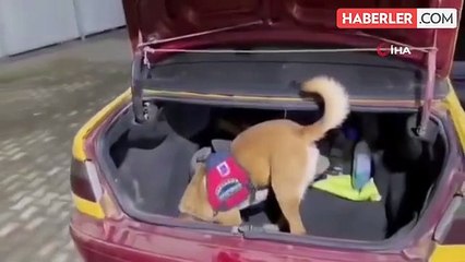 Kars'ta Otomobilde Uyuşturucu Bulundu