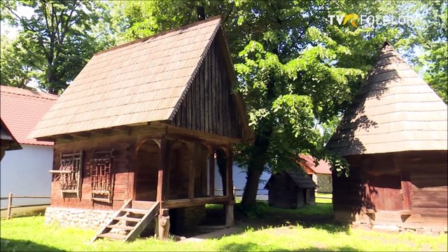 Floarea Calota - Cat e Burdea de cotita (arhiva TVR)