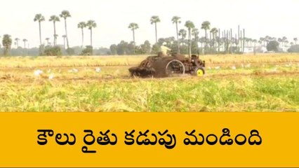 కృష్ణా జిల్లా: కడుపు మండింది... మనోధైర్యం కోల్పోయి తొక్కించేశాడు..!