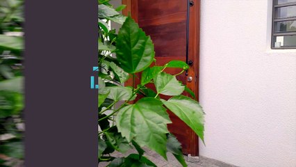 DECORDIER immobilier Mauritius - MA7-1123 - Villa à louer - Cap Malheureux