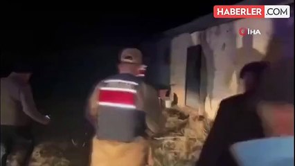 Kars'ta Çalınan Büyükbaş Hayvanlar Bulundu, 2 Kişi Tutuklandı