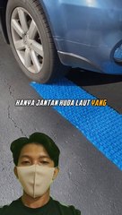 Tanda Cinta Penguin ❤️❤️ #fakta #facts #faktamenarik #mr