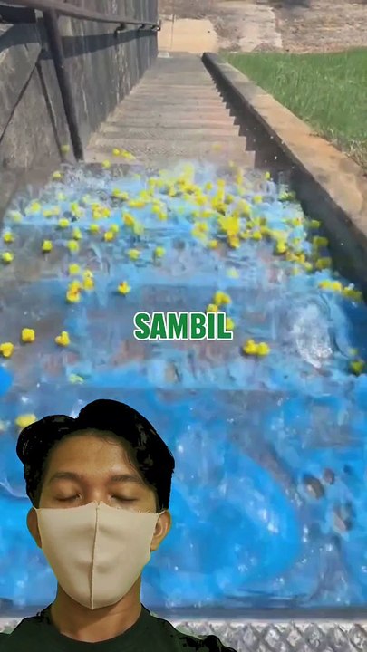 Ayam Peramal Cuaca ⛅ #cerita #ceritalucu #ceritaanak #mr #shorts #KisahAyamLucu