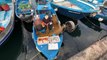 Ιταλία: Τέλος τα αφρώδη τελάρα από τα αλιευτικά σκάφη - Ποιο υλικό τα αντικαθιστά