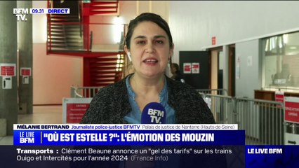 "Vous nous avez arraché Estelle": les  témoignages poignants de la famille Mouzin lors du procès de Monique Olivier