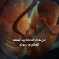 بالفيديو، هكذا يمضي جنينك أشهره التسعة داخل رحمك