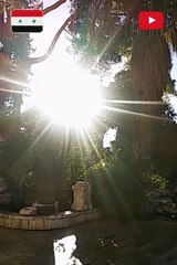 #السياحة في سوريا: استكشاف المتحف الوطني بصحبة السياح الصينيين"