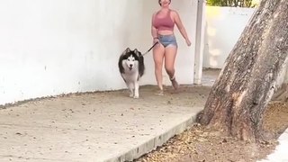 Hot Women Morning Walk with her dog 