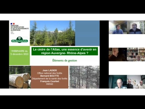 Webinaire #24 Le Cèdre de l'Atlas, une essence d'avenir en Auvergne-Rhône-Alpes ?