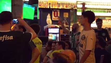 Palmeiras vence Brasileirão emocionante