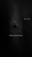 Des pirates déposent une plainte contre l’une de leurs victimes