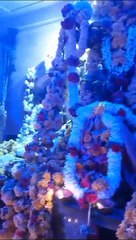 Angala Parameshwari temple, Karthik Somwara