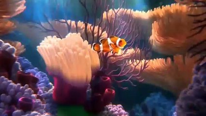 أماكن لا تصدق علي الأرض !