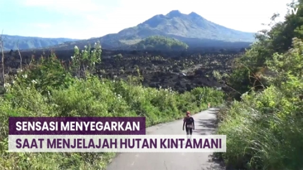 Jelajah Hutan Kintamani dengan Beragam Wahana P...