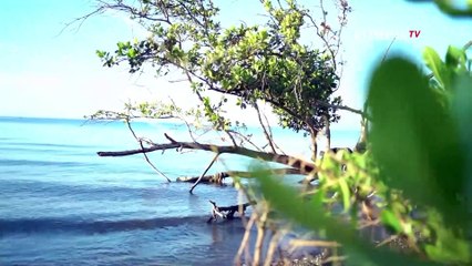 Jeritan Masyarakat Adat Pesisir | BERKAS KOMPAS