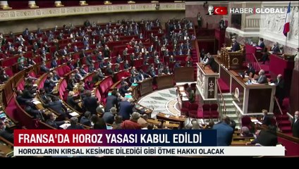 Artık horozlar istediği gibi ötecek