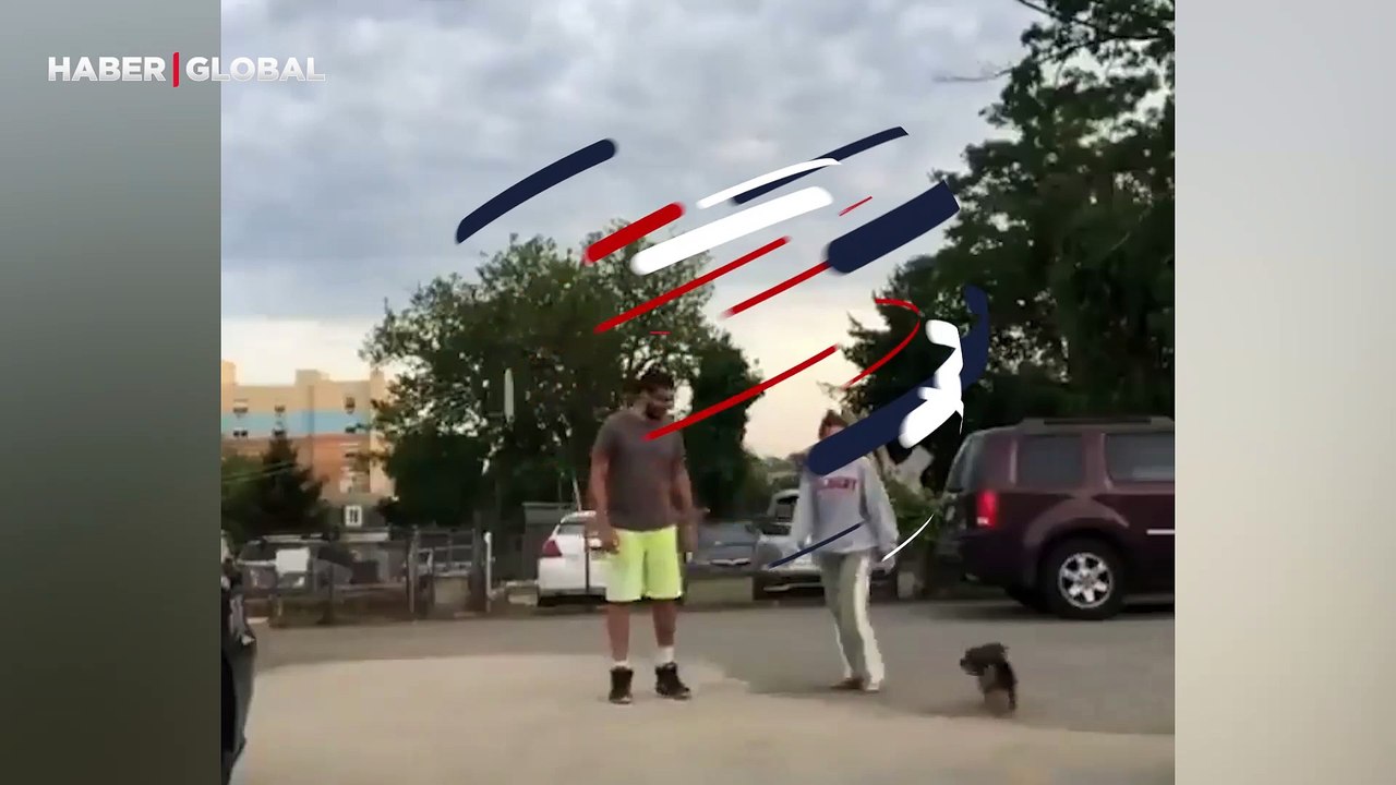 ''Kimi daha çok seviyorsun testine'' soktukları köpekten ilginç hareket sosyal medyada izlenme rekoru kırdı