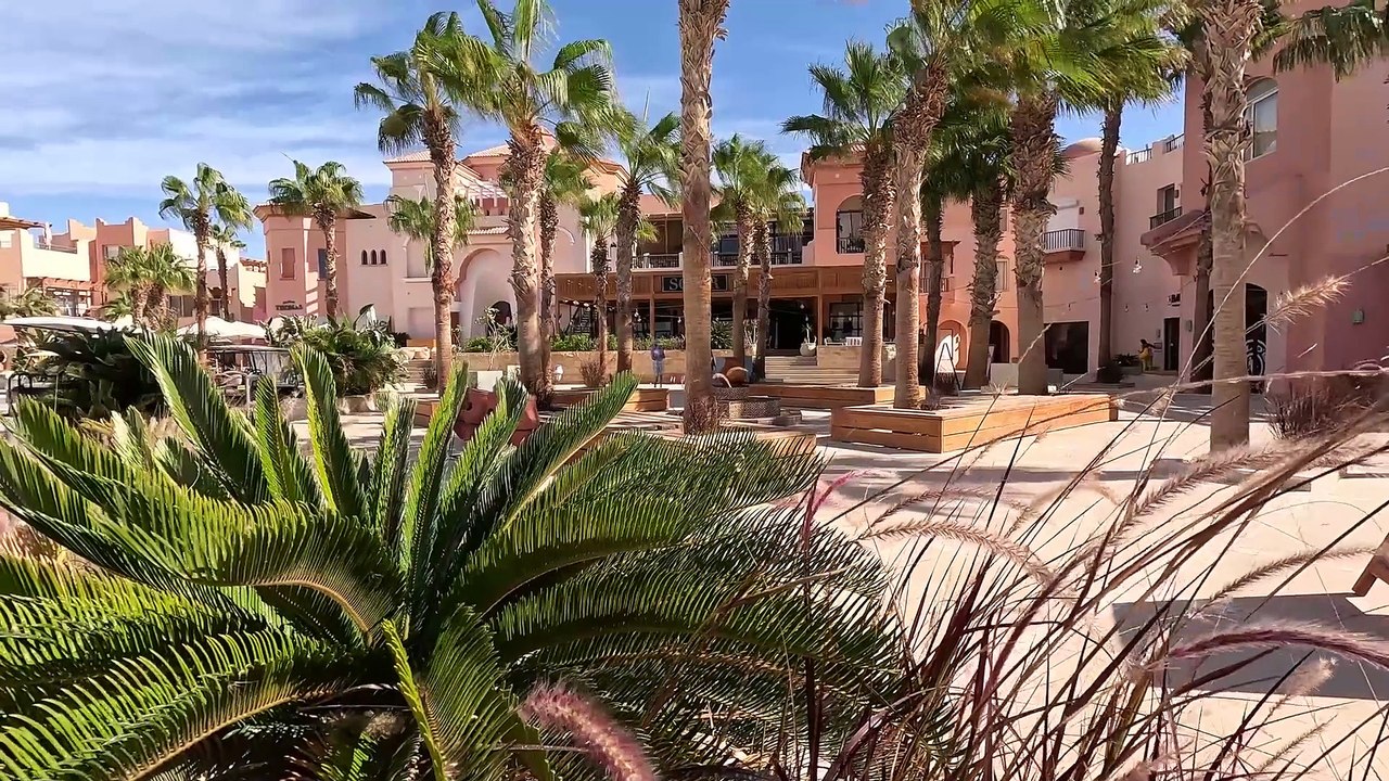 Weihnachtsfeeling im ägyptischen somabay