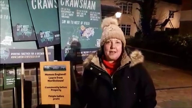 Save West of Ifield campaigners at Horsham District Council