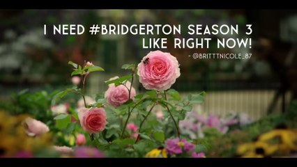 Bridgerton - Season 3 Date Announcement Netflix
