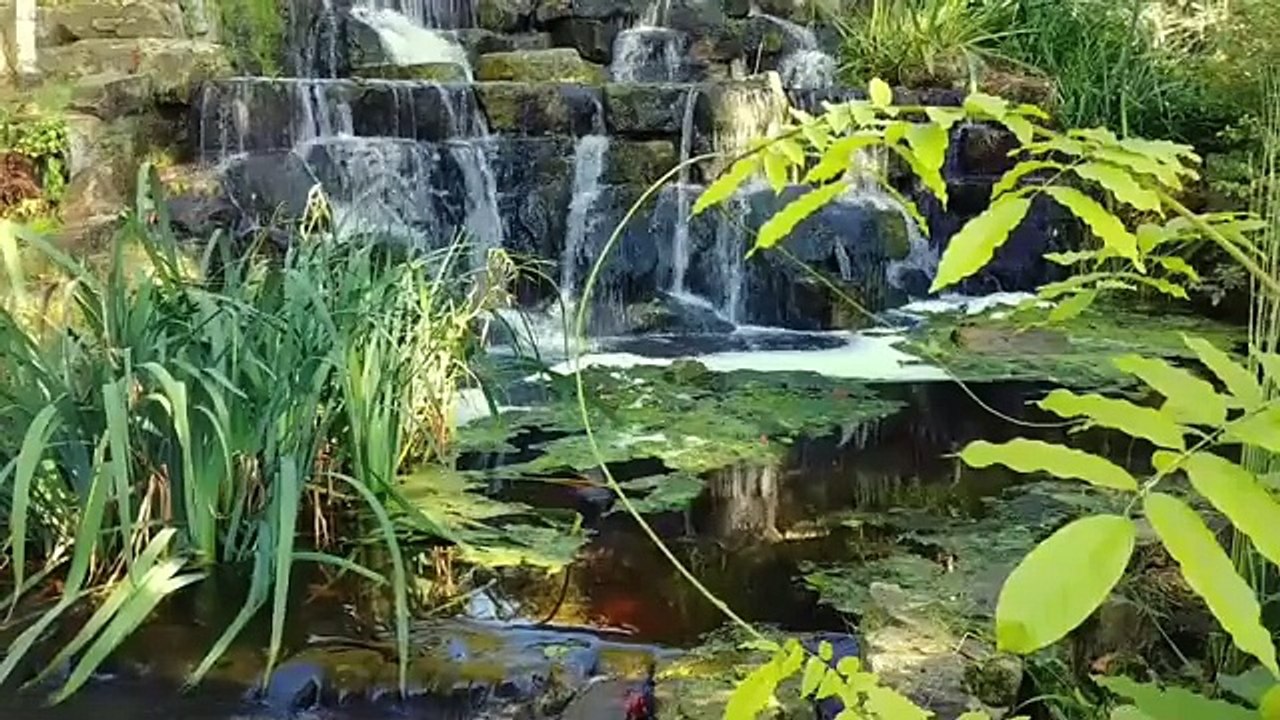 اجمل 10 مناظر طبيعية HD بدون حقوق طبع ونشر ( الجزء 11 )(360P)