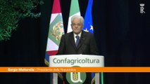 Agricoltura, Mattarella 