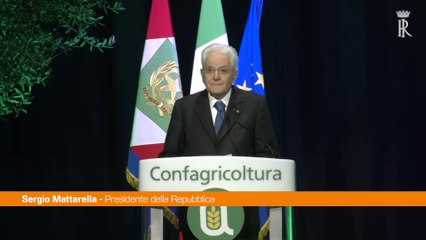 Agricoltura, Mattarella "Centrale e volano per la crescita"