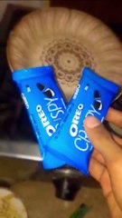 Untitled video - Made with Clipchamp