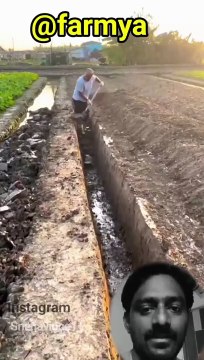 Digging Ditches For lrrigation Pati-14 ⛏️ #satisfying #short #viral #sanatandharma #nature #fruit