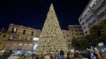Salerno, accensione dell'albero di Natale