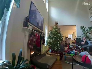 Dad Reflexes Save Christmas