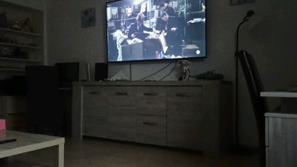 New York section criminelle