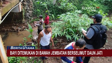 Warga Semarang Dikagetkan dengan Temuan Bayi Berselimut Daun Jati di Bawah Jembatan