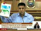 Dip. Infante: Pdte. Nicolás Maduro presenta 9 líneas de trabajo para la defensa del Esequibo