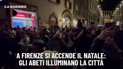 A Firenze si accende il Natale: gli abeti illuminano la citt?