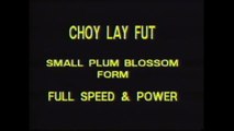 Choy Lay Fut Kung Fu - Volume 2: Small Plum Blossom 2 Man Plum Blossom Fighting Set with Instructor Tat-Mau Wong
