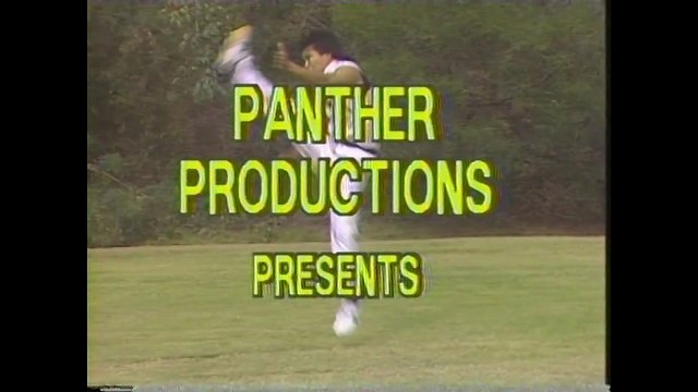 Choy Lay Fut Kung Fu - Volume 3: Animal Forms And Tuet Jin Hand Form with Instructor Tat-Mau Wong