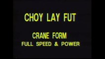 Choy Lay Fut Kung Fu - Volume 4: Crane Form with Instructor Tat-Mau Wong